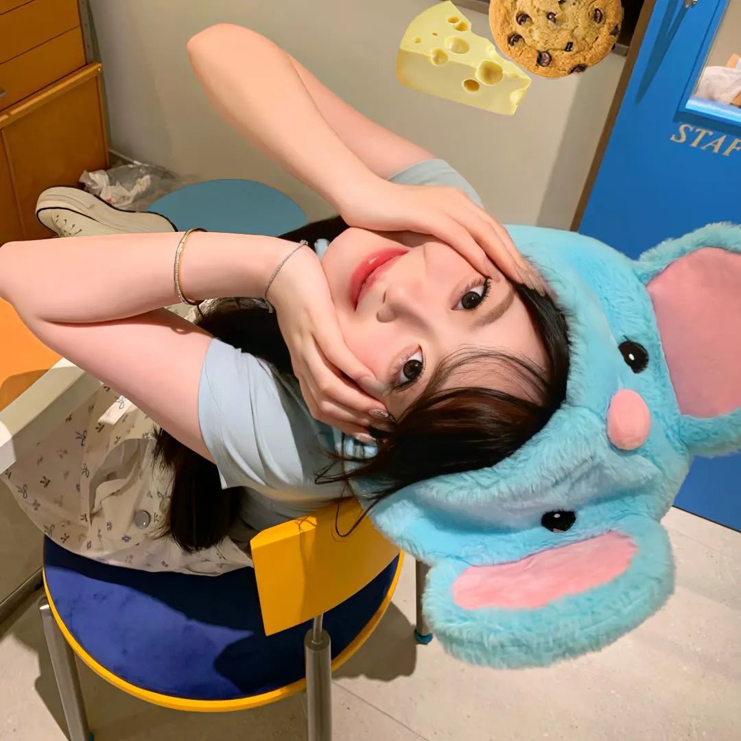 肥瑞的疯狂日记第一季